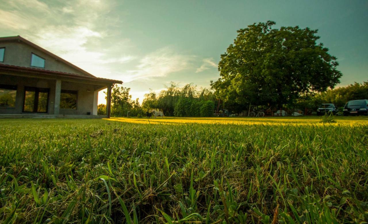 La Livada Villa Greci Ngoại thất bức ảnh